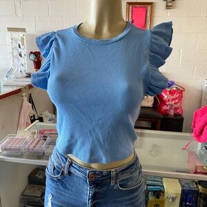 Zara Blue Ruffle Sleeve Crop Top